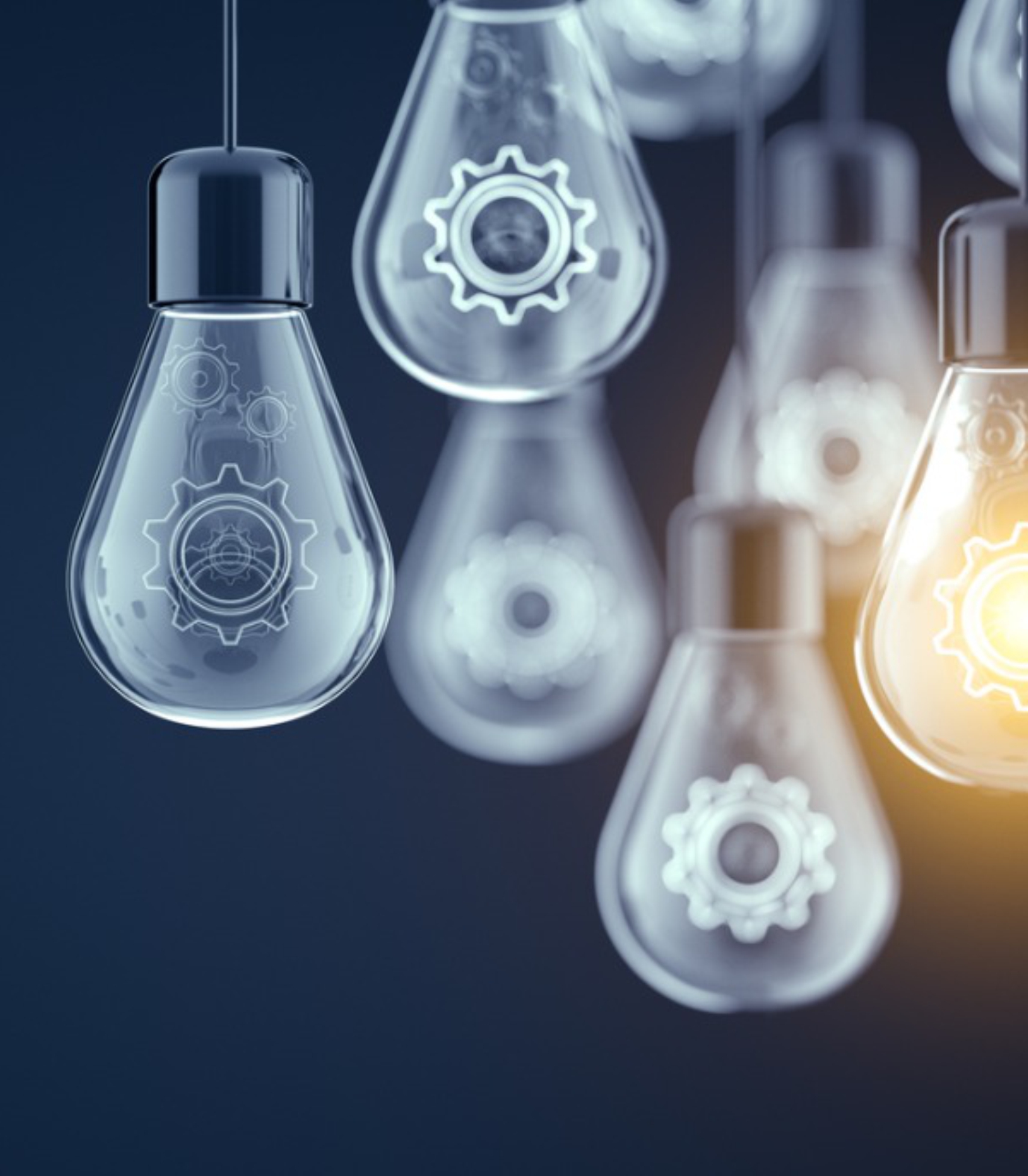 Professional financial consultation discussion